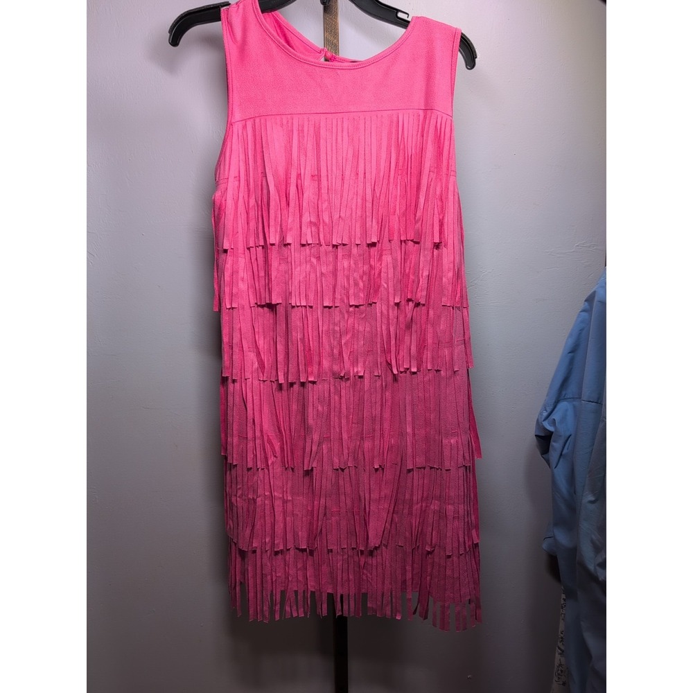 LUCKY & BLESSED SMALL FLAPPER/ FRINGE PINK DRESS